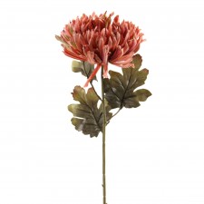 31.5"SPIDER MUM A4 B18