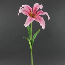 28"MARTAGON LILY SPRAY A25