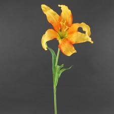 28"MARTAGON LILY SPRAY A4
