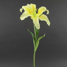 28"MARTAGON LILY SPRAY A4