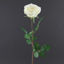 28"SINGLE CALISTA ROSE A4