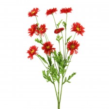 20" CALIF. DAISY BRANCH  A25