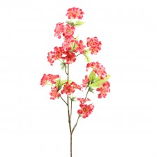 33" CHERRY FLOWER ROSA