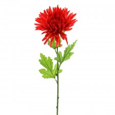 30"CHRYSANTHEMUMSTEM A4 B16