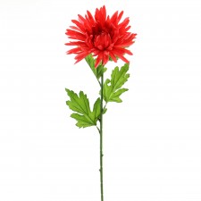 30"CHRYSANTHEMUMSTEM A4 B16