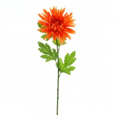 30"CHRYSANTHEMUMSTEM A4 B16