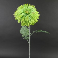 34"GERBERA STEM GREEN A4