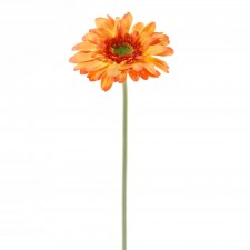 22"FLKD GERBERA STEM A5