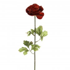 23"RANUNCULUS STEM BRICK A4