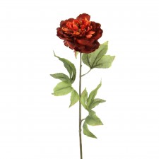 25"PEONY STEM BRICK A4