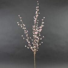 37"STAR FLWER SPRY PINK A4