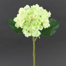 SINGLE HYDRANGEA STEM A25