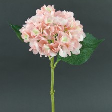 SINGLE HYDRANGEA STEM A4