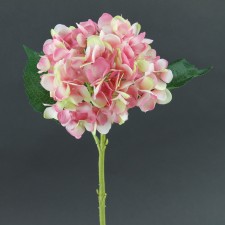 SINGLE HYDRANGEA STEM A4