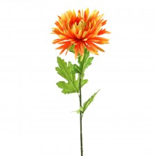 30"CHRYSANTHEMUM STEM A4