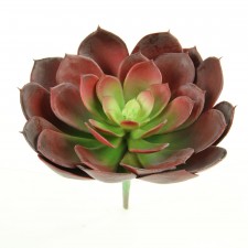 7"SUCCULENT PLANT RED/GRN A25