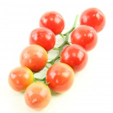 TOMATO ON VINE  A25