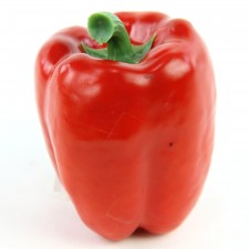 RED BELL PEPPER  A25