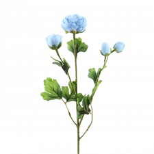 22.25"RANUNCULUS STEM A4