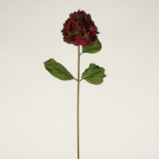 20" HYDRANGEA STEM W/3 LVS B7