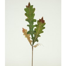 LG VLVT ACANTHUS LEAF PICK