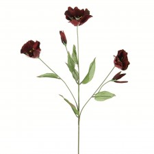 24.5" LIANTHUS SPRAY B2