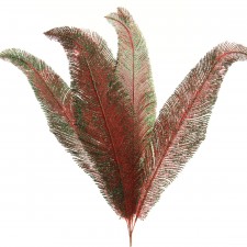 17"FEATHER FERN 6/BUN A75
