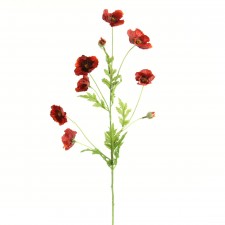 27"MINI POPPY SPRAY B4