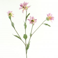 33"CONE FLWR W/3 FIRS A4 B18