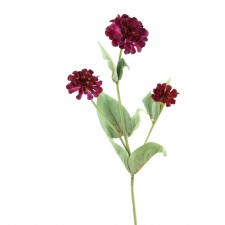 ZINNIA SPRAY X3 A4