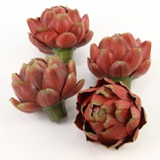 LG.ARTICHOKE 4/BX A25