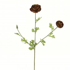 26" RANUNCULUS B15