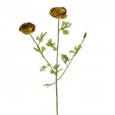 25" RANUNCULUS B15