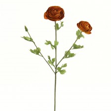 24" RANUNCULUS OLD GOLD B15