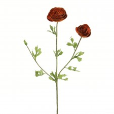 25.25" RANUNCULUS SPICE B15