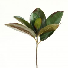 12" MAGNOLIA PICK