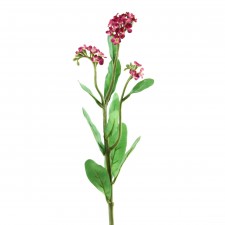 FORGET ME NOT SPRAY A4