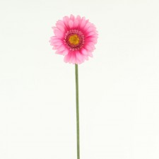 24"GERBERA DAISY STEM FUCHSIA