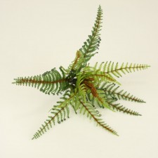 11" FERN BUSH X15