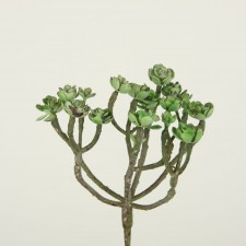 6" DESERT ROSE PLANT PICK