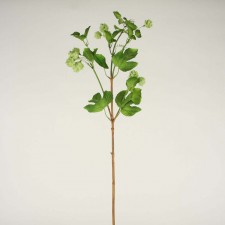 36" HOP STEM X4 LT.GREEN