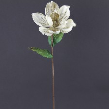 25" LG LOTUS MAGNOLIA STEM