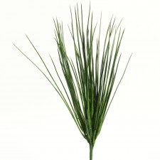 21" NEEDLE GRASS TT.GREEN