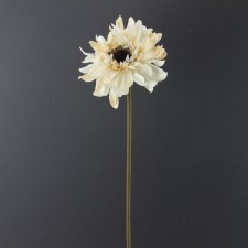 24.5GERBER DAISY SPRY A4 B4