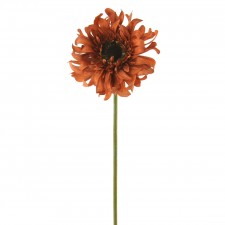 24.5"GERBER DAISY SPRAY A4