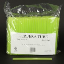 8" GERBERA TUBE 250/PKG
