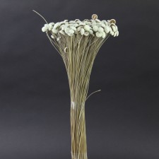 18"FLORAL BUTTONS NATURAL