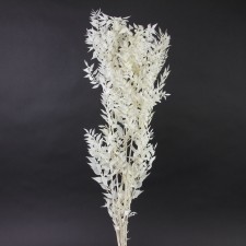 32"RUSCUS BLEACH 6/PKG