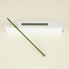 12"CHENILLE STEM X100 MOS GRN