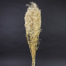 2 OZ. DRIED GYPSOPHILA